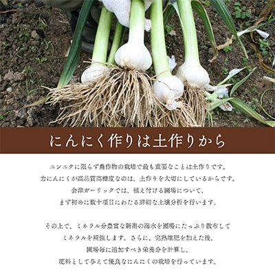 会津・柳津　高品質高糖度の黒にんにく「ちからにんにく」2袋