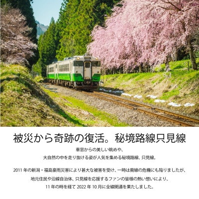 【鉄道風景画家　松本忠が描く】只見線オリジナルマグカップ【只見線応援!】