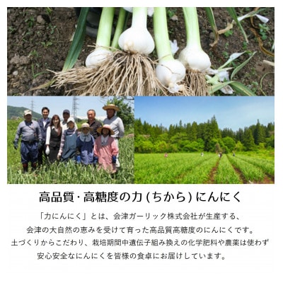 【ガツンとにんにく!】力にんにくを使った餃子【冷凍】　36個(12個×3パック)【配送不可地域：離島】