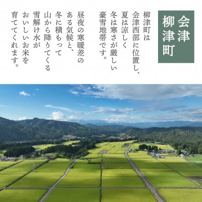 【3月下旬発送】柳津町産「福、笑い」10kg【令和7年産】