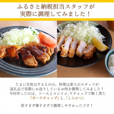 ジューシー!　ブランド豚　「和豚もちぶた」ロースとんかつ・ソテー用1kg【配送不可地域：離島】