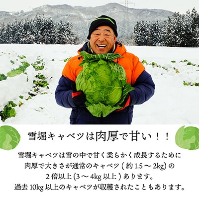 雪の中で旨みが凝縮!柔らか食感!大きな「雪掘(ゆきほり)ロールキャベツ」1kg(デミグラス2パック)【配送不可地域：離島】