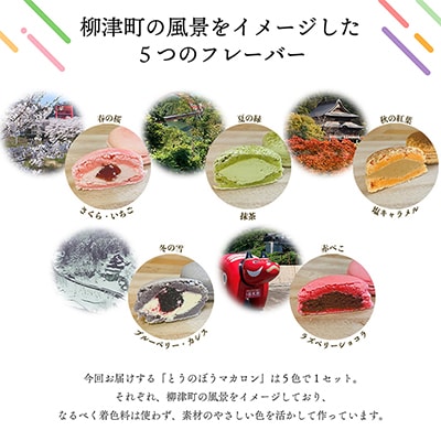 世界No.1パティシエが作る　さっくりぎっしり!保存料不使用の「とうのぼうマカロン」10個入り【配送不可地域：離島】