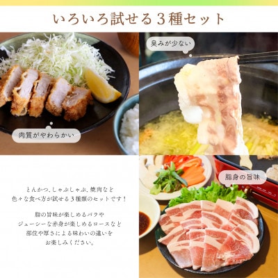 【ブランド豚】柔らかジューシーな肉質!「和豚もちぶた」3種セット1.5kg【配送不可地域：離島】