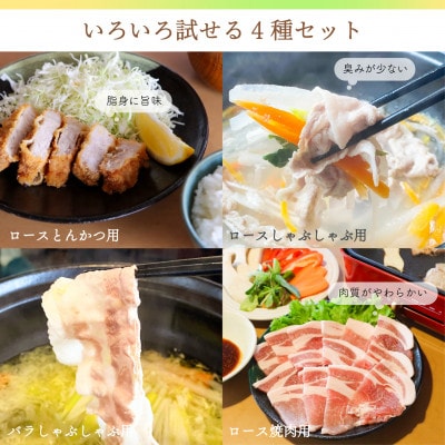 【ブランド豚】柔らかジューシーな肉質!「和豚もちぶた」4種セット　2kg【配送不可地域：離島】