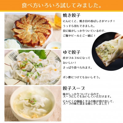 【ガツンとにんにく!】力にんにくを使った餃子【冷凍】　36個(12個×3パック)【配送不可地域：離島】