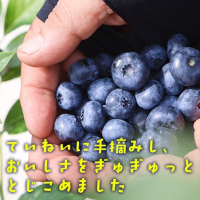 【山の恵みぎゅっと!】手摘みブルーベリージュース　720ml 【2本セット】
