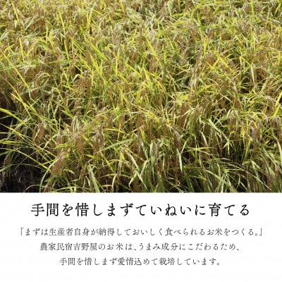 【令和7年産】奥会津のきれいな水で大切に育てた「たから米」【3kg】