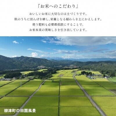 【令和7年産】福島県柳津町産「こしひかり」10kg〈2026年2月下旬発送予定〉