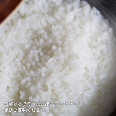 【令和6年産】福島県柳津町産「こしひかり」10kg〈令和7年2月下旬発送予定〉