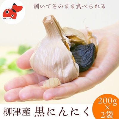 会津・柳津　高品質高糖度の黒にんにく「ちからにんにく」2袋
