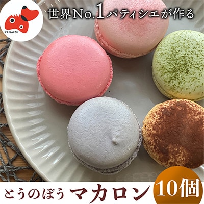 世界No.1パティシエが作る　さっくりぎっしり!保存料不使用の「とうのぼうマカロン」10個入り【配送不可地域：離島】