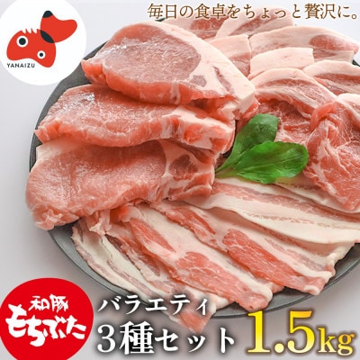【ブランド豚】柔らかジューシーな肉質!「和豚もちぶた」3種セット1.5kg【配送不可地域：離島】