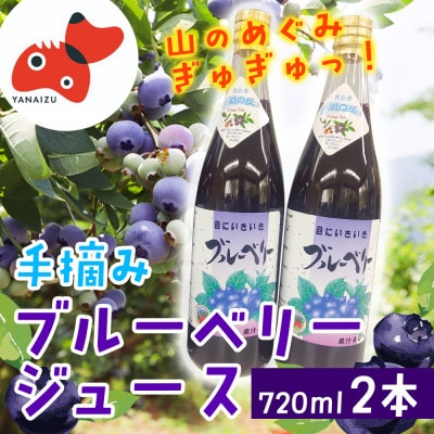 【山の恵みぎゅっと!】手摘みブルーベリージュース　720ml 【2本セット】