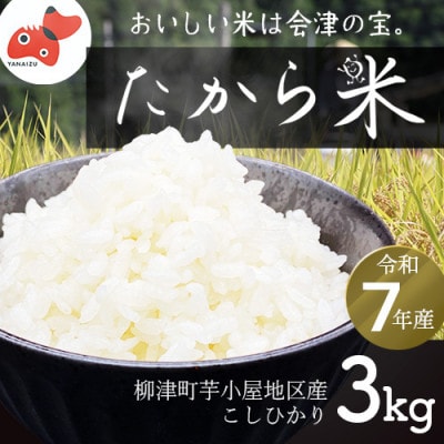 【令和7年産】奥会津のきれいな水で大切に育てた「たから米」【3kg】