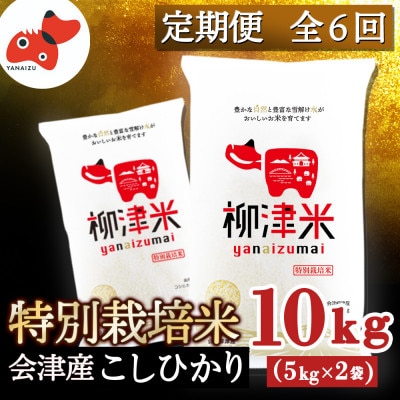【発送月固定定期便】令和7年11月下旬より発送開始/柳津産のおいしい特別栽培こしひかり全6回
