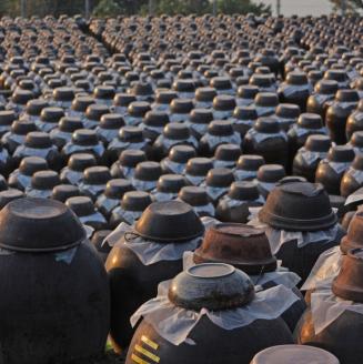 一年熟成　発芽玄米黒酢　※日付指定不可