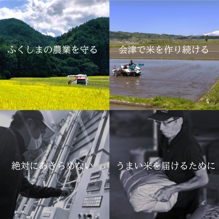 令和7年産　会津美里町産コシヒカリ　精米5kg