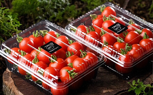 【2年連続金賞受賞】 高糖度フルーツミニトマト1キロ ※2026年6月中旬頃より順次発送予定