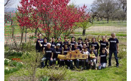 有機野菜セット　季節の採れたて有機野菜（およそ10点）を農家から直送◇　※2025年7月上旬～12月中旬頃に順次配送予定