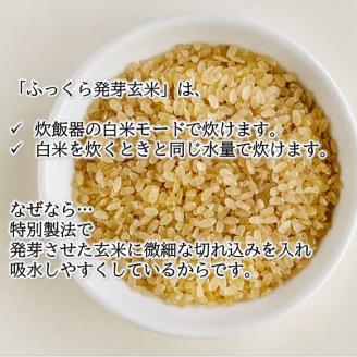 ふっくら発芽玄米　会津産コシヒカリ　750g ×3袋　発芽玄米　ギャバ　GABA　コシヒカリ◇ ※着日指定不可
