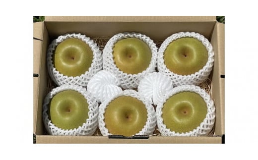 【先行受付】会津の美味しい梨 幸水 約3kg（5玉～6玉） ◇｜ 期間限定 梨 なし ナシ 果物 フルーツ 甘い ジューシー 果実 くだもの 国産 果実 会津美里町産 ※2025年8月下旬～9月上旬頃に順次発送予定