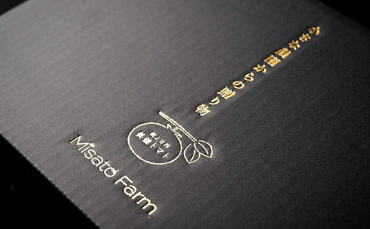 【2年連続金賞受賞】 高糖度フルーツミニトマト1キロ ※2026年6月中旬頃より順次発送予定