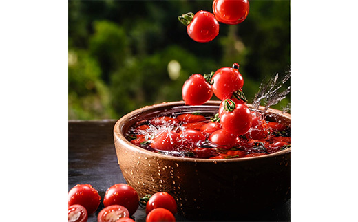 【2年連続金賞受賞】 高糖度フルーツミニトマト1.5キロ ※2026年6月中旬頃より順次発送予定