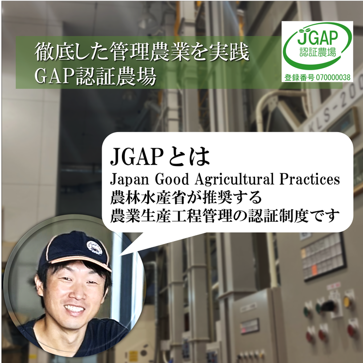 令和7年産　会津美里町産コシヒカリ　精米5kg