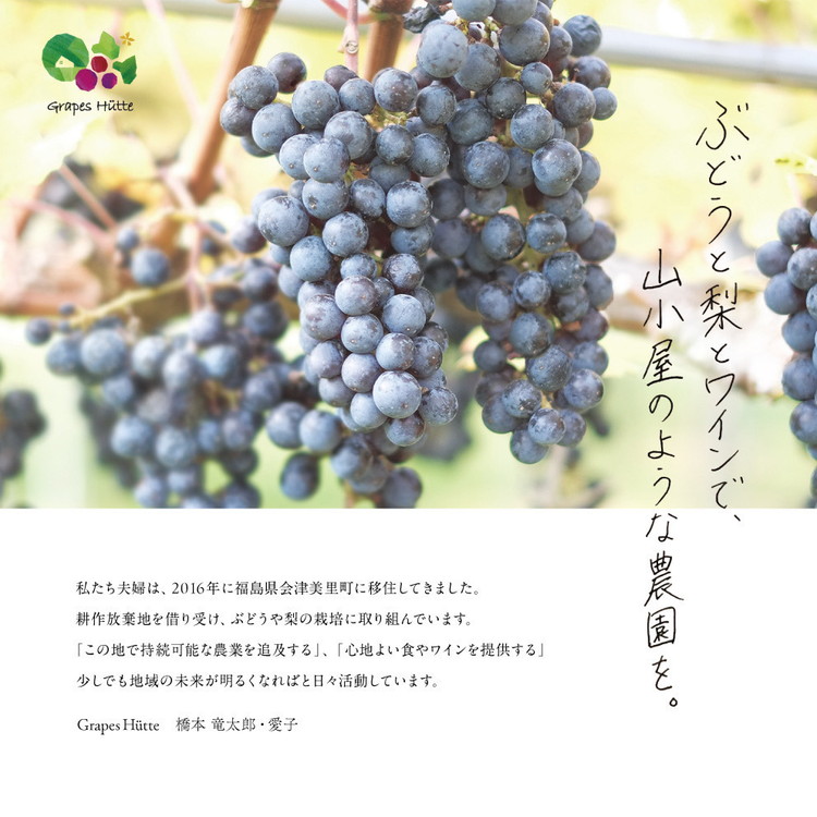 【先行受付】会津の美味しいぶどう シャインマスカット 1.2kg以上 2房｜期間限定 大粒 種なし 果物 フルーツ ぶどう ブドウ 葡萄 くだもの 国産 果実 会津美里町産 ※2025年10月上旬～10月下旬頃に順次発送予定