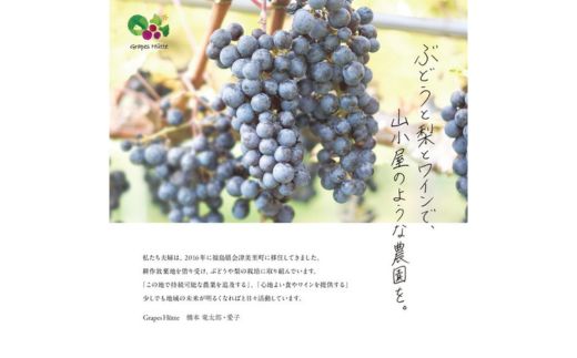 オリジナルワイン赤白のセット