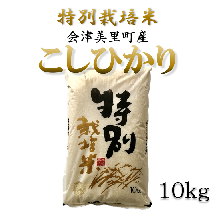 特別栽培米　会津美里町産コシヒカリ　10kg ※2025年12月頃より順次発送予定