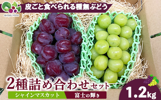 シャインマスカットと富士の輝きの詰め合わせ ※2025年10月上旬～10月下旬頃に順次発送予定 ※沖縄・離島への配送不可