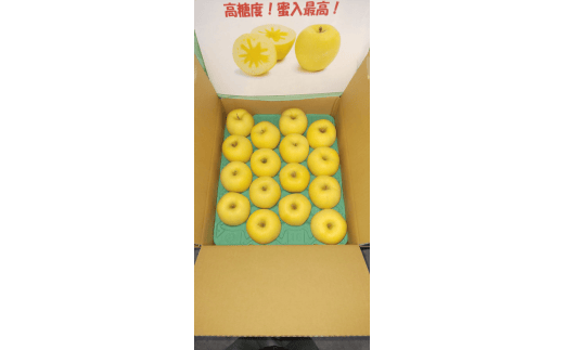 会津美里産　りんご（はるか）5kg　※2025年11月下旬～12月中旬頃に順次発送予定