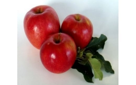 会津美里産　りんご（サンふじ）5kg　※2025年11月下旬～12月中旬頃に順次発送予定