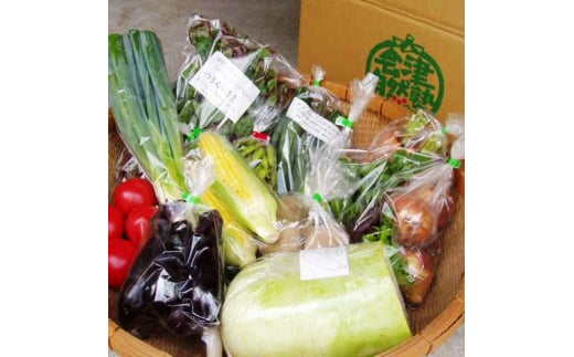 有機野菜セット　季節の採れたて有機野菜（およそ10点）を農家から直送◇　※2025年7月上旬～12月中旬頃に順次配送予定
