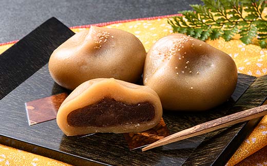 あん入りゆべし 12個入 もち 和菓子 スイーツ 福島県 矢吹町 F6U-034