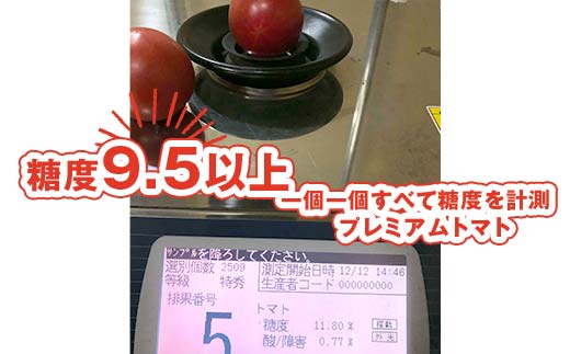 トロピカルトマトファームのトマト大中セット 約2kg 「プレミアムトマト」900gと「ミディトマト」1kg F6U-124