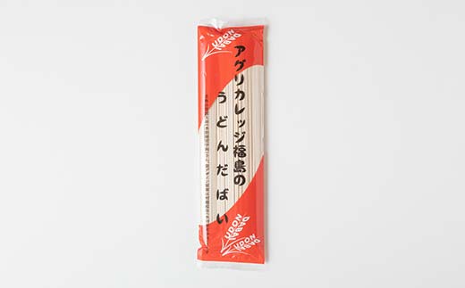 福島県農業短期大学校で収穫されたきぬあずまを100％使用「アグリカレッジ福島のうどんだばい」10束 F6U-140