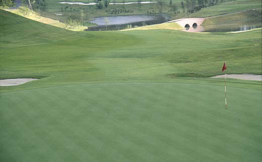 矢吹ゴルフ倶楽部 ゴルフ宿泊パック 土日祝利用ペア券 F6U-268