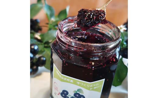 アントシアニンが豊富！ ガーデンハックルベリージャム セット 250g×2種 （ピューレタイプ、皮・種タイプ） F6U-288
