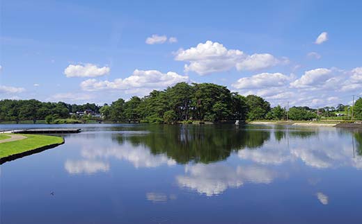 矢吹町 やぶきまち応援寄附金 13,000円 【返礼品なし】 F6U-317