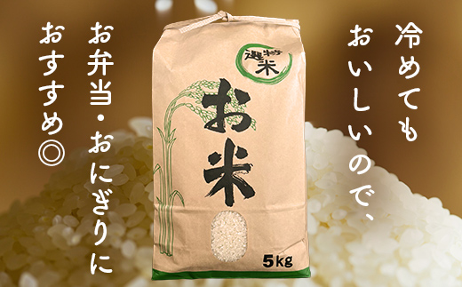 矢吹町産 コシヒカリ 令和7年産米 精米5kg F6U-402