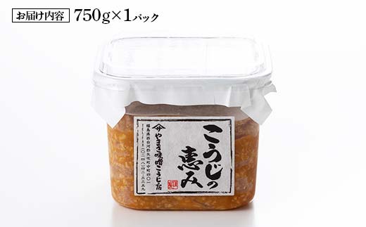 糀が生きてる生米糀味噌「こうじの恵み」750g F6U-018