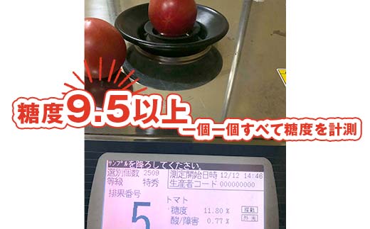 トロピカルトマトファームの「プレミアムトマト」約900g（9～10玉） F6U-111