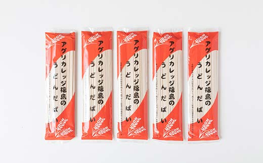 福島県農業短期大学校で収穫されたきぬあずまを100％使用「アグリカレッジ福島のうどんだばい」10束 F6U-140