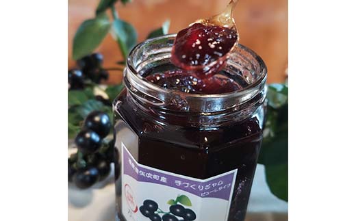 アントシアニンが豊富！ ガーデンハックルベリージャム セット 250g×2種 （ピューレタイプ、皮・種タイプ） F6U-288