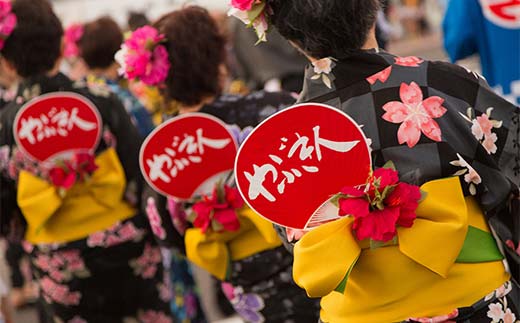 矢吹町 やぶきまち応援寄附金 13,000円 【返礼品なし】 F6U-317