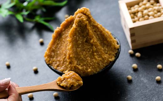 蔵出し直送 究極の生みそ5kg 糀味噌 味噌汁 天然醸造 F6U-010