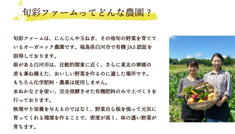 都内マルシェで人気のお野菜！ サラダに最適！葉野菜とミニ根菜のセット 5袋 F6U-132